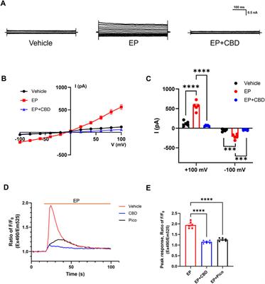 Cannabidiol inhibits transient receptor potential canonical 4 and modulates excitability of pyramidal neurons in mPFC